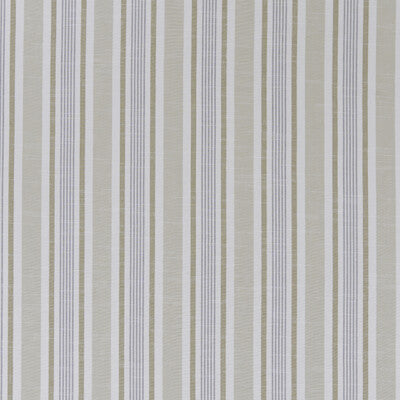 F1310/06-CAC MAPPLETON MINERAL CLARKE AND CLARKE Fabrics Drapery Upholstery