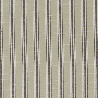 F1311/02-CAC THORNWICK CHARCOAL CLARKE AND CLARKE Fabrics Drapery Upholstery