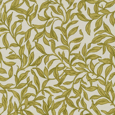 F1313/01-CAC ENTWISTLE CHARTREUSE CLARKE AND CLARKE Fabrics Drapery Upholstery