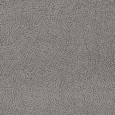 F1322/02-CAC MASON DOVE CLARKE AND CLARKE Fabrics Drapery Upholstery