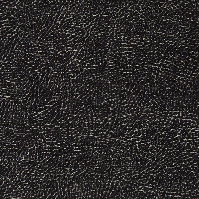 F1322/06-CAC MASON NOIR CLARKE AND CLARKE Fabrics Drapery Upholstery