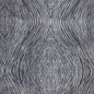 F1336/01-CAC LUSTER CHARCOAL CLARKE AND CLARKE Fabrics Drapery Upholstery