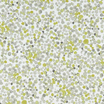 F1354/01-CAC LUGAR CHARTREUSE CLARKE AND CLARKE Fabrics Drapery Upholstery