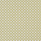 F1364/03-CAC ARIYANA CHARTREUSE CLARKE AND CLARKE Fabrics Drapery Upholstery