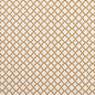 F1364/08-CAC ARIYANA SPICE CLARKE AND CLARKE Fabrics Drapery Upholstery