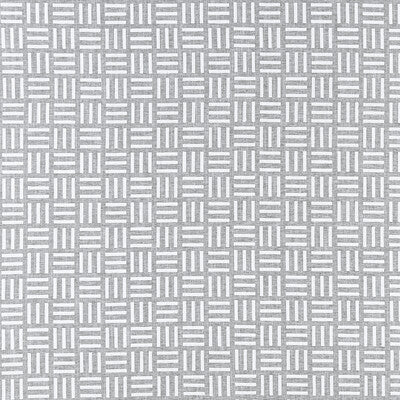 F1449/01-CAC PARALLEL CHARCOAL CLARKE AND CLARKE Fabrics Drapery Upholstery