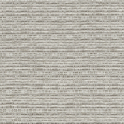 F1450/04-CAC RAMIE SILVER CLARKE AND CLARKE UPHOLSTERY