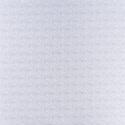 F1457/05-CAC EREBIA SILVER CLARKE AND CLARKE Fabrics Drapery Upholstery
