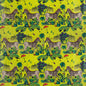 F1477/01-CAC LOST WORLD VELVET LIME CLARKE AND CLARKE Fabrics Drapery Upholstery