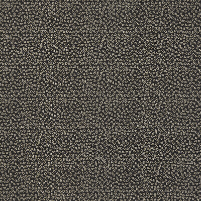 F1548/03-CAC RICAMO NERO CLARKE AND CLARKE DRAPERY