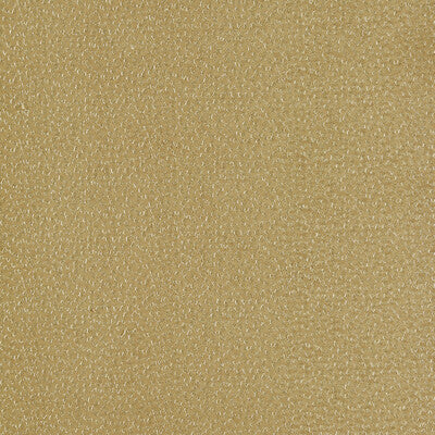 F1548/04-CAC RICAMO OCHRE CLARKE AND CLARKE DRAPERY