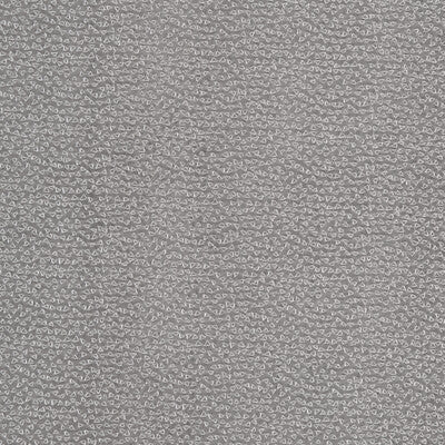 F1548/05-CAC RICAMO PEWTER CLARKE AND CLARKE DRAPERY