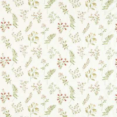F1554/04-CAC BRIGITTE SPICE CLARKE AND CLARKE DRAPERY