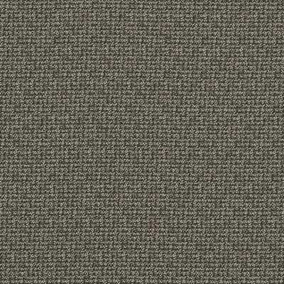 F1569/01-CAC MALONE CHARCOAL CLARKE AND CLARKE UPHOLSTERY