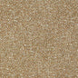 F1619/05-CAC ORION SPICE CLARKE AND CLARKE UPHOLSTERY