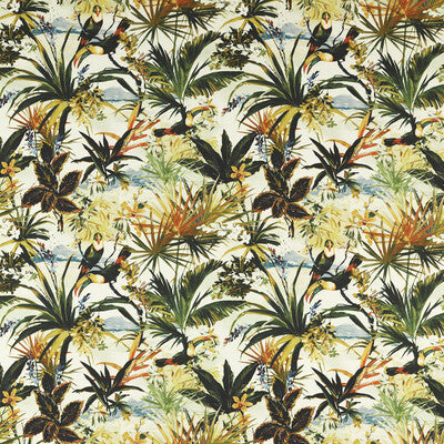 F1676/01-CAC TOUCAN OUTDOOR CLARKE AND CLARKE Fabrics Drapery Upholstery
