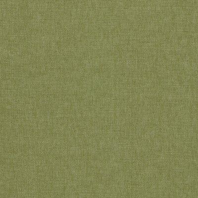 F1707/20-CAC PARADISO PALM CLARKE AND CLARKE UPHOLSTERY