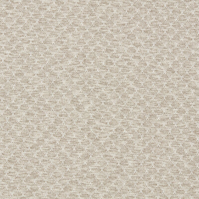 F1724/05-CAC TRELICA PEBBLE CLARKE AND CLARKE UPHOLSTERY