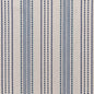 F200-106 Stripe nan Blue Performance Colors