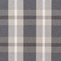 F200-107 Plaid nan Grey & Silver Performance Colors