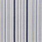 F200-113 Stripe nan Blue Performance Colors
