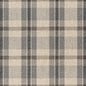 F200-126 Plaid nan Grey & Silver Performance Colors
