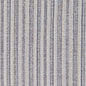 F300-118 Stripe nan Blue Performance Colors