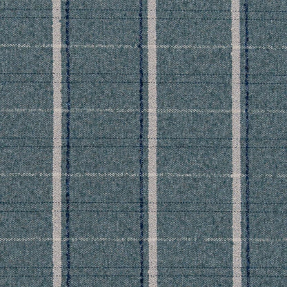 F300-121 Plaid nan Blue Performance Colors
