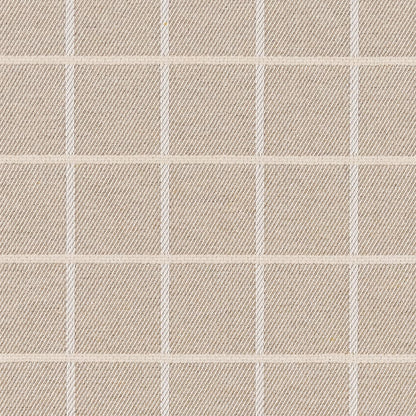 F300-139 Plaid nan Beige & Taupe Performance Colors