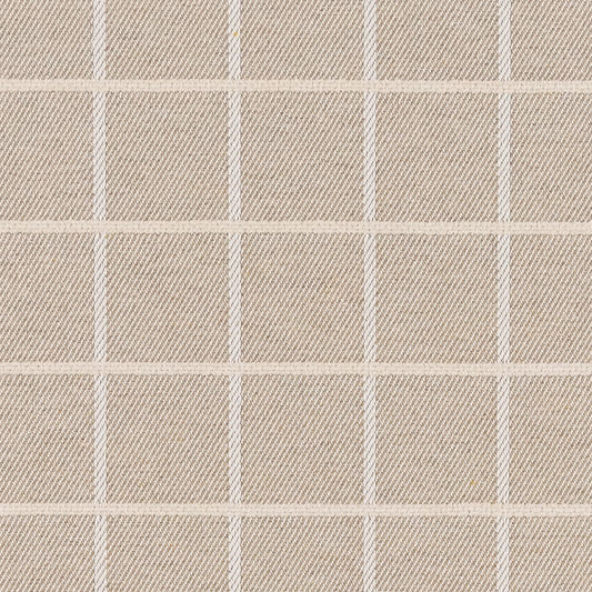 F300-139 Plaid nan Beige & Taupe Performance Colors
