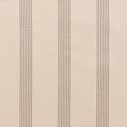 F300-165 Stripe nan Beige & Taupe Performance Colors