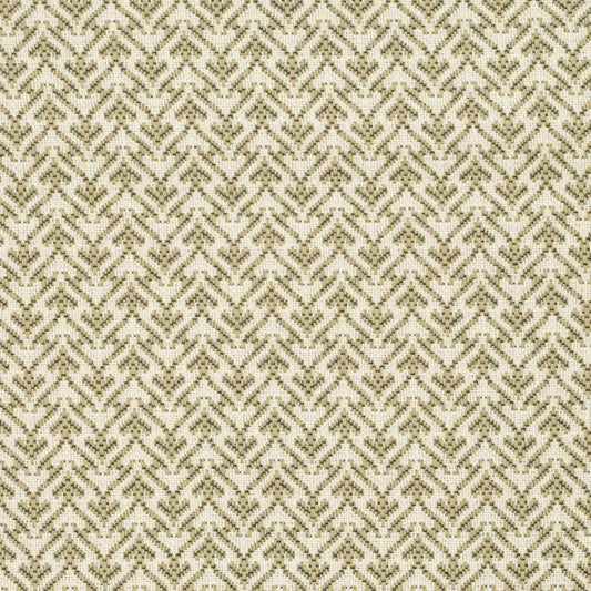 F300-230 Abstract & Geometric,Small Scale nan Green Performance Colors