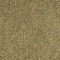 F300-265 Animal Print,Small Scale Green Charlotte Fabrics Woven Patterns