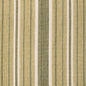 F300-272 Stripe nan Green Performance Colors