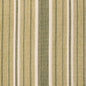 F300-272 Stripe Green Charlotte Fabrics Woven Patterns