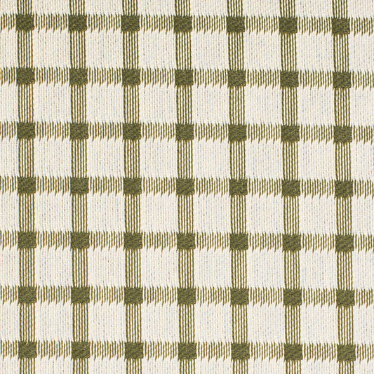 F300-280 Plaid Green Charlotte Fabrics Woven Patterns