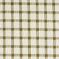 F300-280 Plaid nan Green Performance Colors