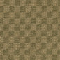 F300-286 Abstract & Geometric,Small Scale Green Charlotte Fabrics Crypton,Woven Patterns