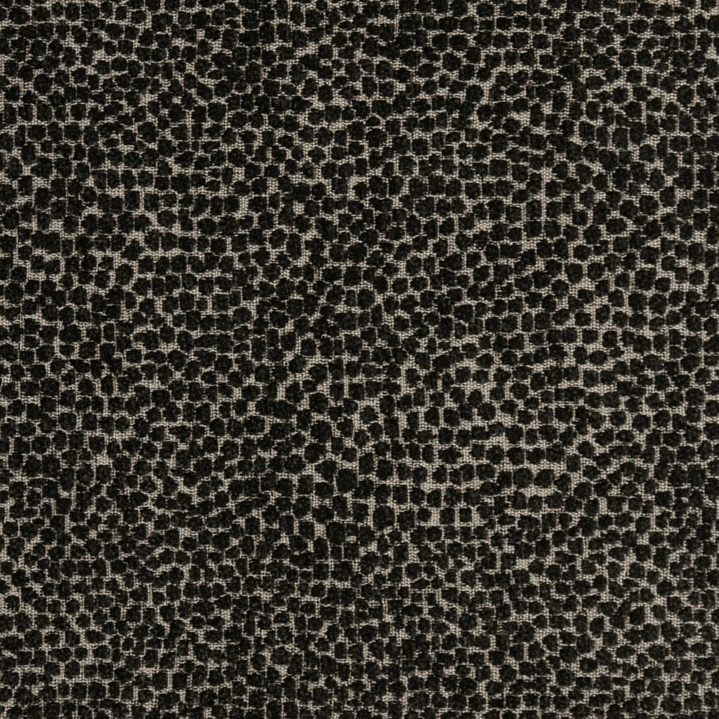 F300-338 Abstract & Geometric,Animal Print nan Black Performance Colors