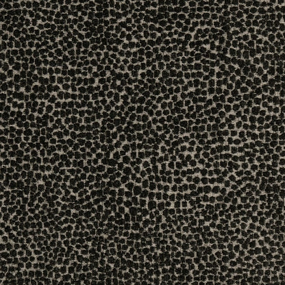 F300-338 Abstract & Geometric,Animal Print nan Black Performance Colors