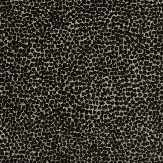 F300-338 Abstract & Geometric,Animal Print nan Black Performance Colors