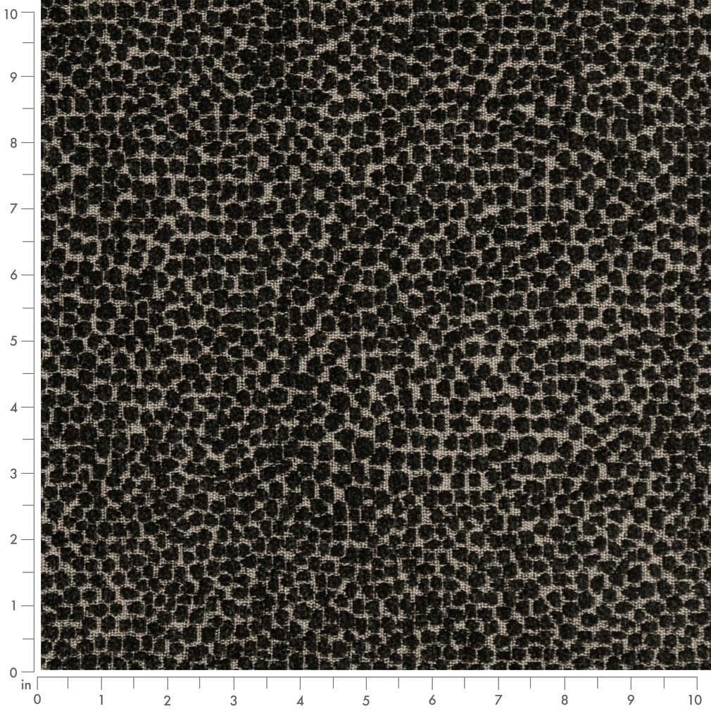 F300-338 Abstract & Geometric,Animal Print nan Black Performance Colors