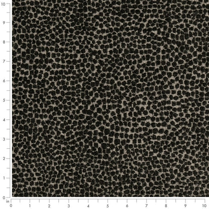 F300-338 Abstract & Geometric,Animal Print nan Black Performance Colors