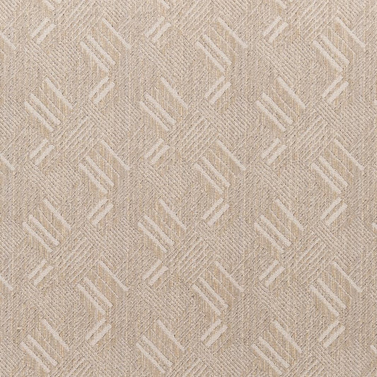 F400-142 Abstract & Geometric nan Beige & Taupe Performance Colors
