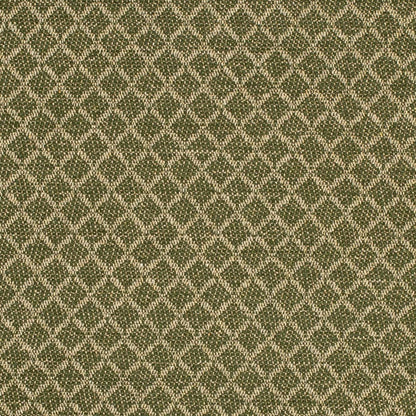 F400-181 Abstract & Geometric,Small Scale nan Green Performance Colors