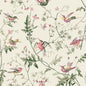 F62/1001-CS HUMMINGBIRDS COTTON PRINT CLASSIC MULTI COLE & SON Fabrics Drapery Upholstery