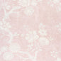 F910816 Thibaut Blush Fabric