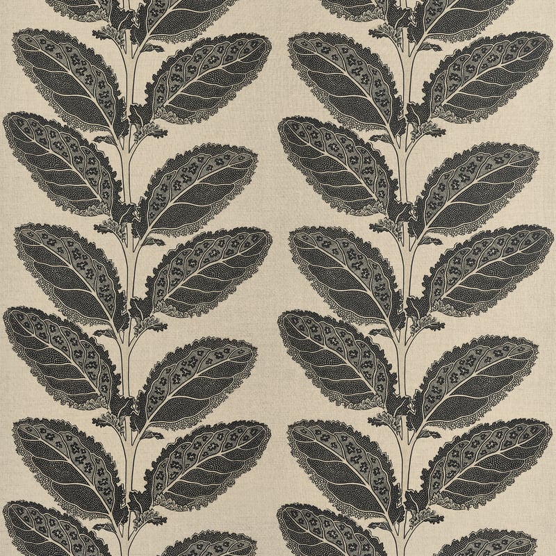 F912038 Thibaut Black Fabric