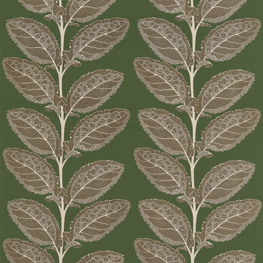 F912040 Thibaut Wild Sage Fabric