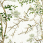 F913621 Thibaut Green and White Fabric